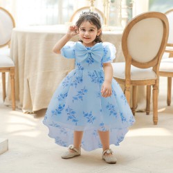 12M-3Y Toddler Girls Floral Bow Trailing Princess Dresses  Girls Clothes   