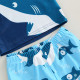 18M-6Y Toddler Boy Swimwear & Beachwear Sets Long-Sleeved Shark Print Top And Shorts  Boys Clothes   