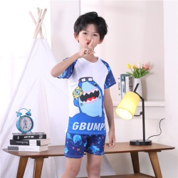 3-11Y Shark Animal Print Sea Colorblock Tops And Shorts Swimwear Set  Kids Boutique Clothing  