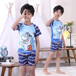3-11Y Whale Cartoon Print Short Sleeve T-Shirt And Shorts Swimwear Set  Kids Boutique Clothing  